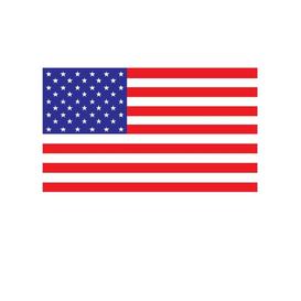 United States Flag (9